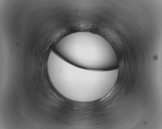 X0000098040184200804181306