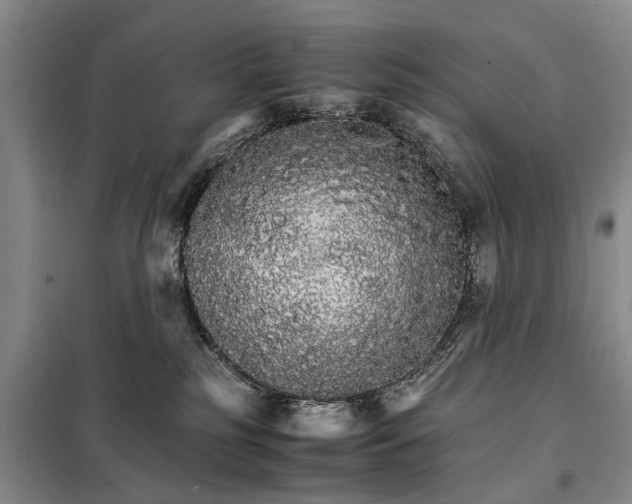 X0000098040185200804181306