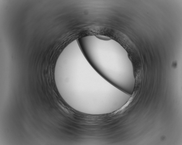 X0000098040186200804181306