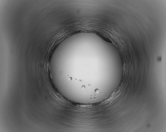 X0000098040188200804181306