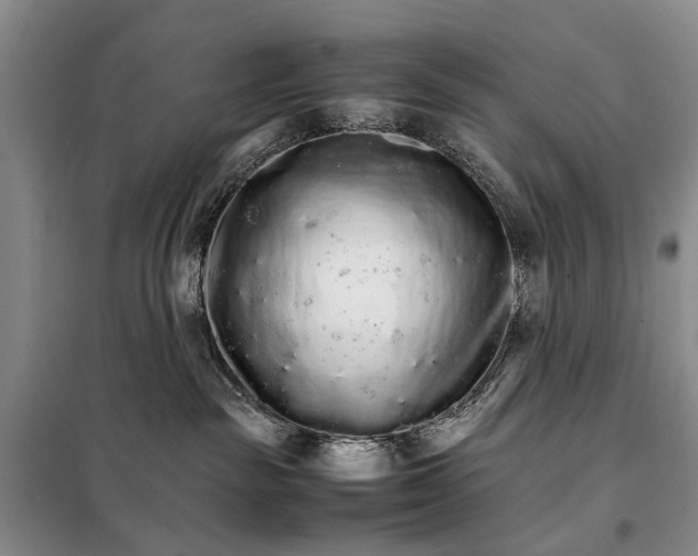 X0000098040189200804181306