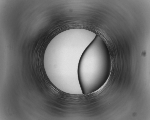 X0000098040190200804181306