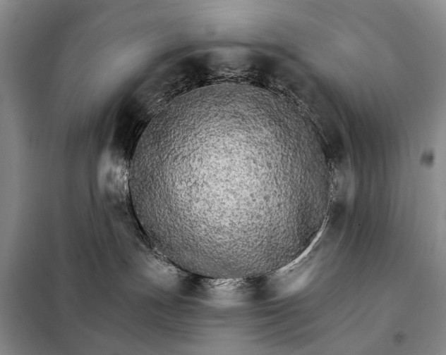 X0000098040191200804181306