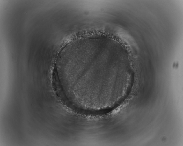 X0000098040192200804181306