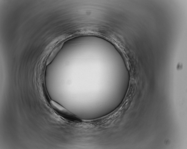 X0000098040193200804181305