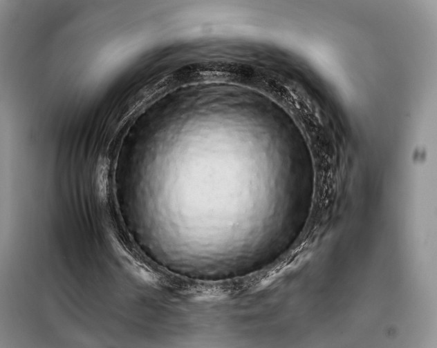 X0000098040194200804181305