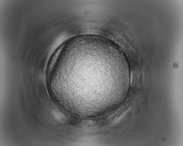 X0000098040195200804181305