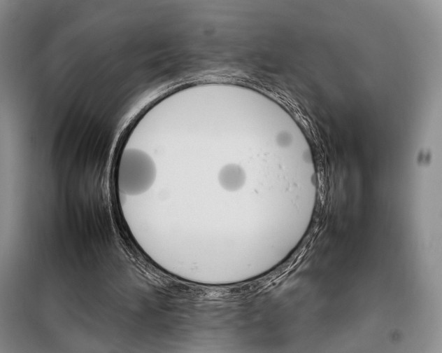 X0000098040196200804181305