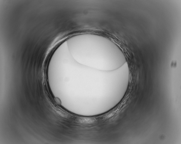 X0000098040198200804181305