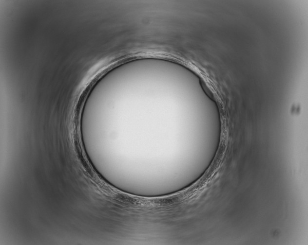 X0000098040199200804181305