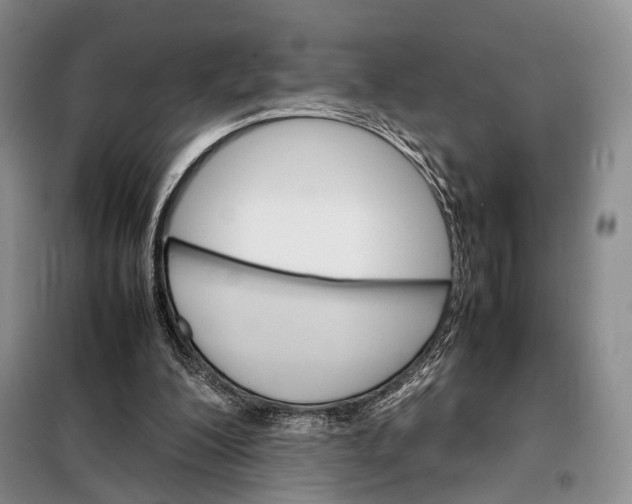 X0000098040200200804181305