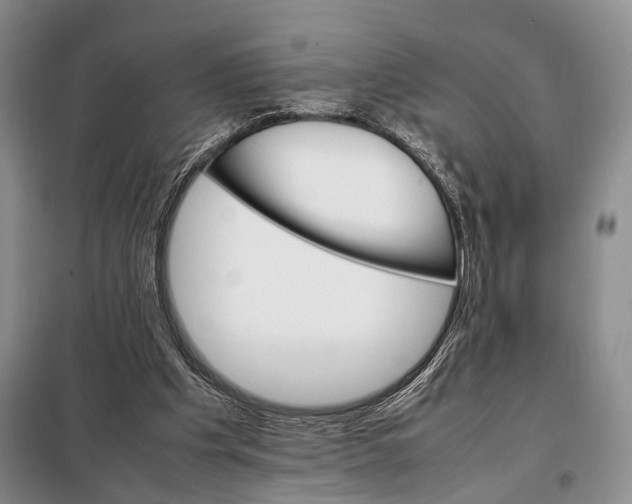 X0000098040201200804181305