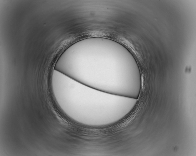 X0000098040205200804181305