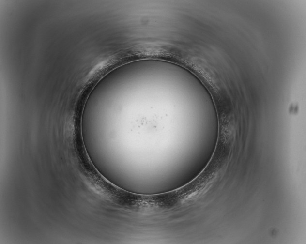 X0000098040207200804181305