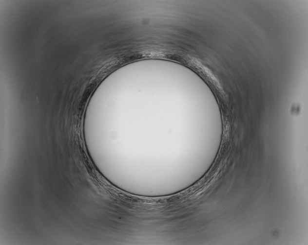 X0000098040209200804181305