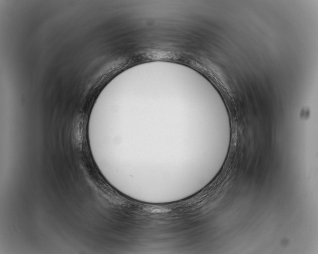 X0000098040210200804181305