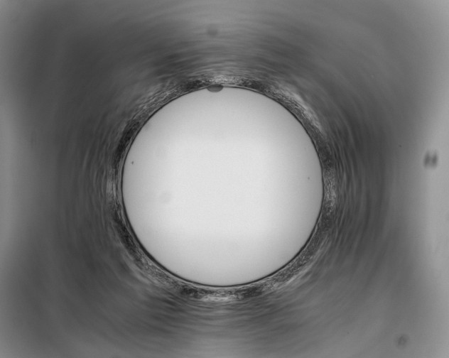 X0000098040213200804181305