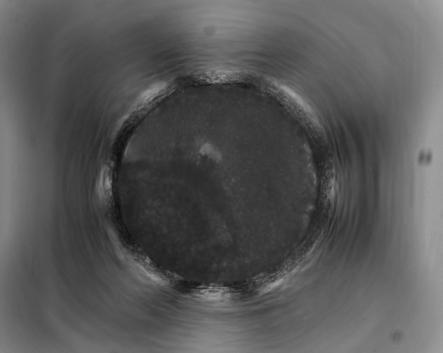 X0000098040214200804181305