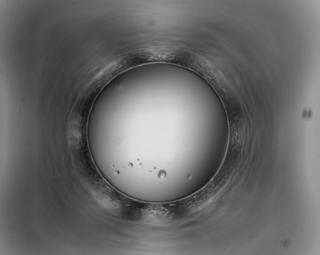 X0000098040215200804181305