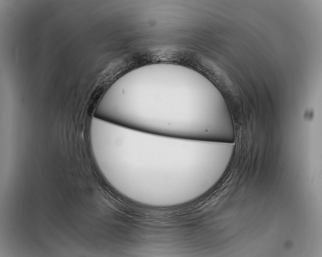 X0000098040217200804181305