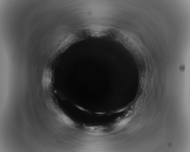 X0000098040219200804181305