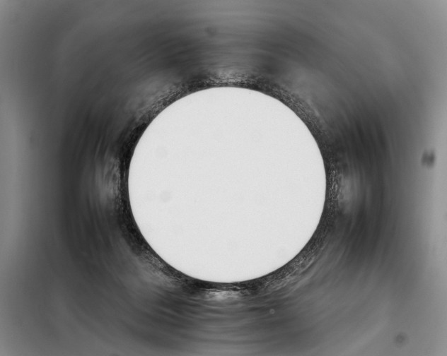 X0000098040220200804181305