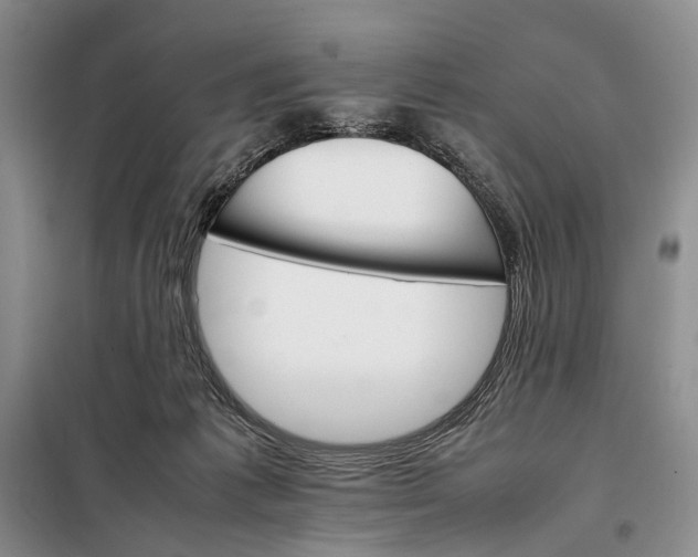 X0000098040221200804181305