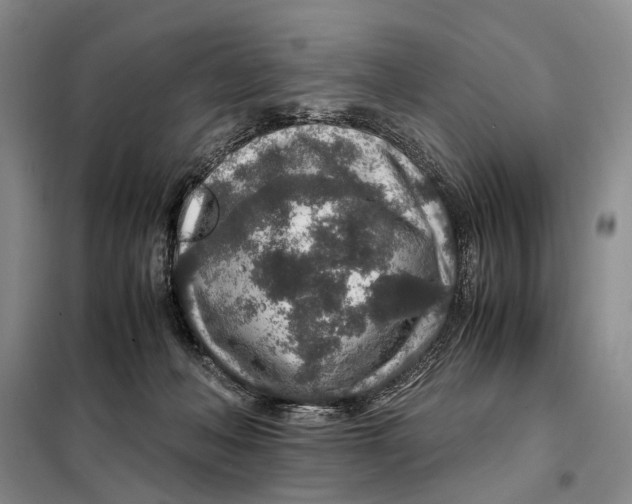 X0000098040222200804181305