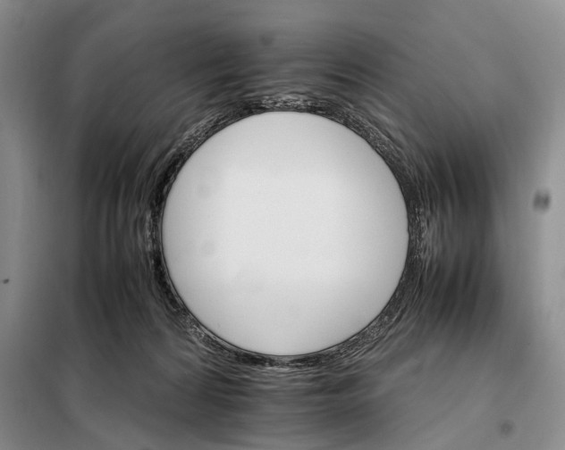 X0000098040224200804181305