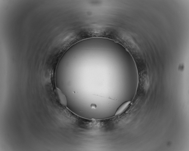 X0000098040225200804181305