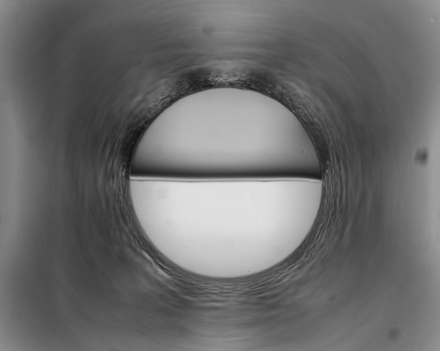 X0000098040227200804181305