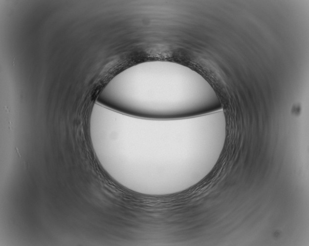 X0000098040229200804181305