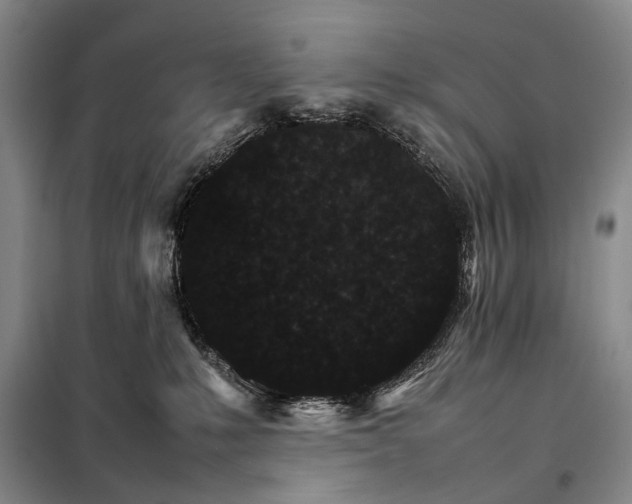 X0000098040231200804181305