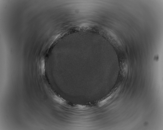 X0000098040232200804181305