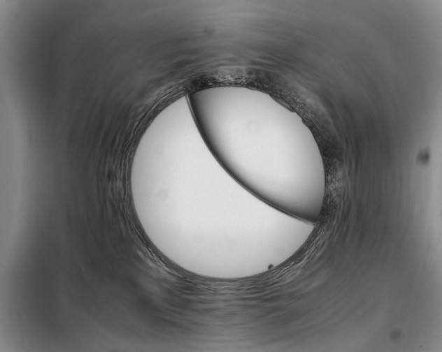 X0000098040233200804181305