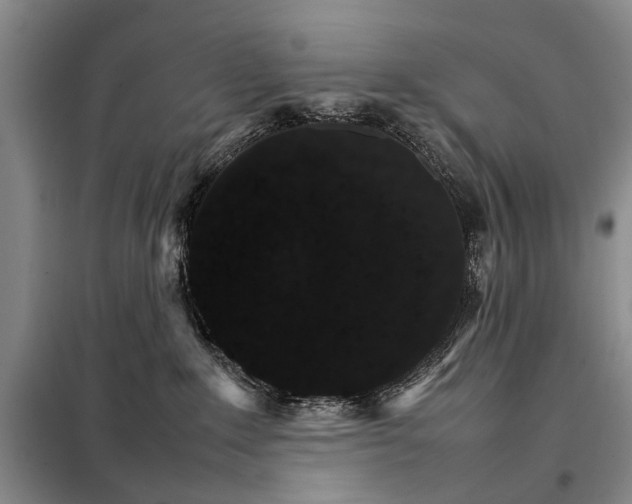 X0000098040235200804181305