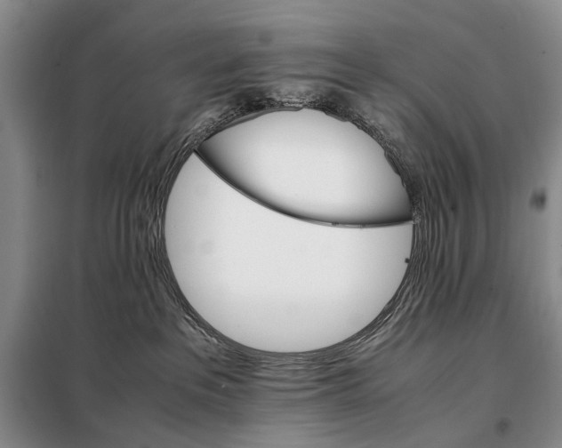 X0000098040237200804181305