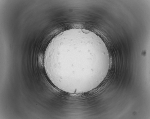 X0000098040238200804181304