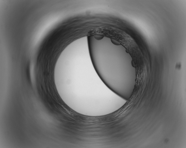 X0000098040239200804181304