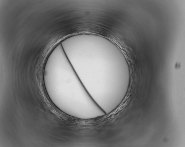 X0000098040241200804181304