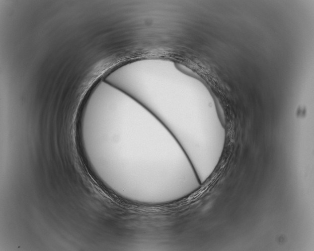 X0000098040242200804181304