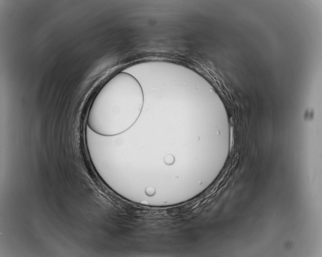 X0000098040243200804181304