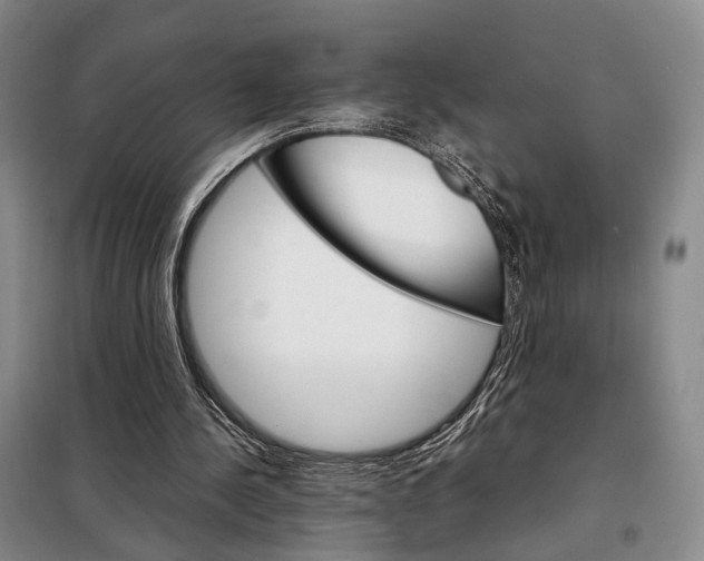 X0000098040244200804181304