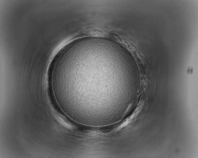 X0000098040246200804181304