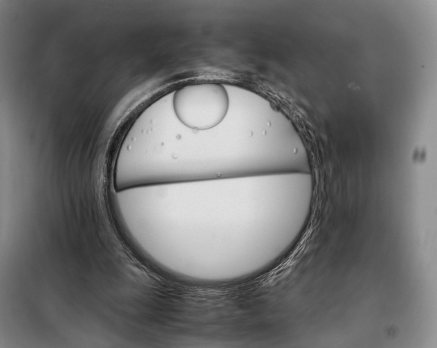 X0000098040247200804181304