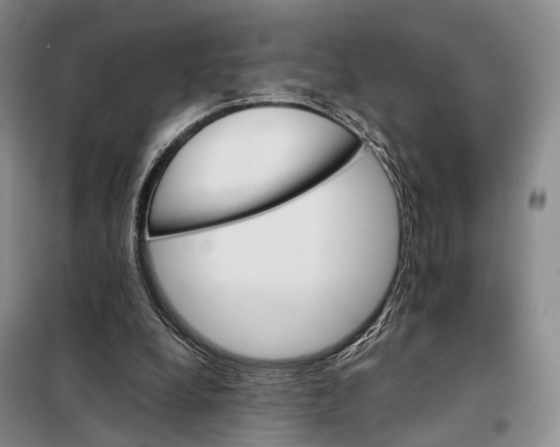 X0000098040248200804181304