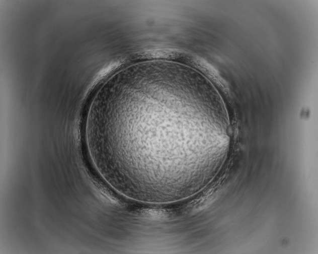 X0000098040250200804181304