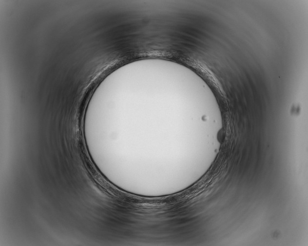 X0000098040251200804181304