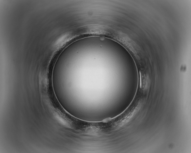 X0000098040252200804181304