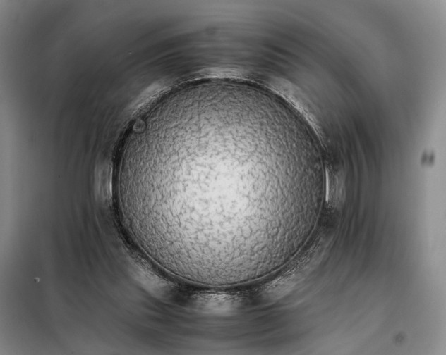 X0000098040253200804181304